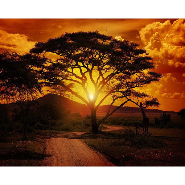 Diamond Painting - Large tree and sunrise