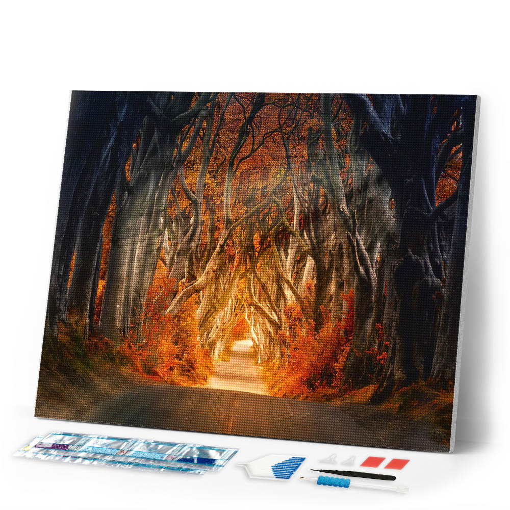 Diamond Painting - Forest road