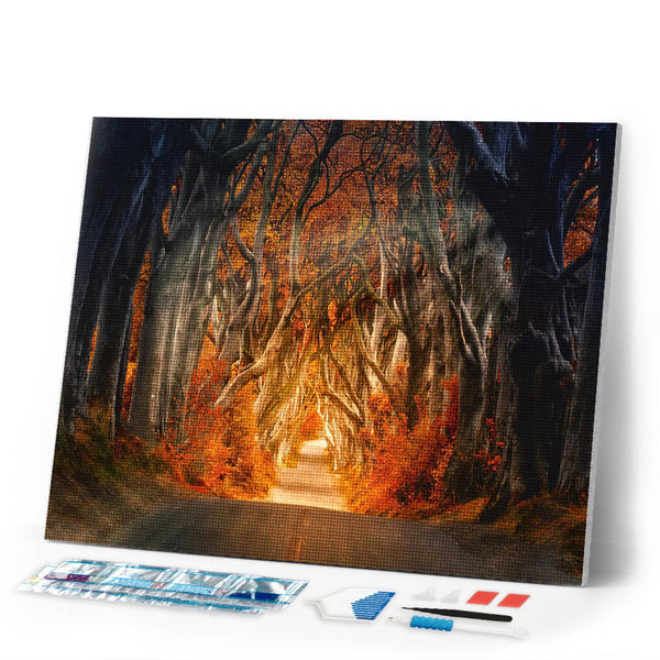 Diamond Painting - Forest road