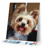 Diamond Painting - Cute little dog