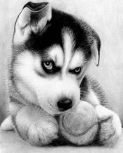 Load image into Gallery viewer, Diamond Painting | Diamond Painting - Small Husky Player | animals Diamond Painting Animals | FiguredArt