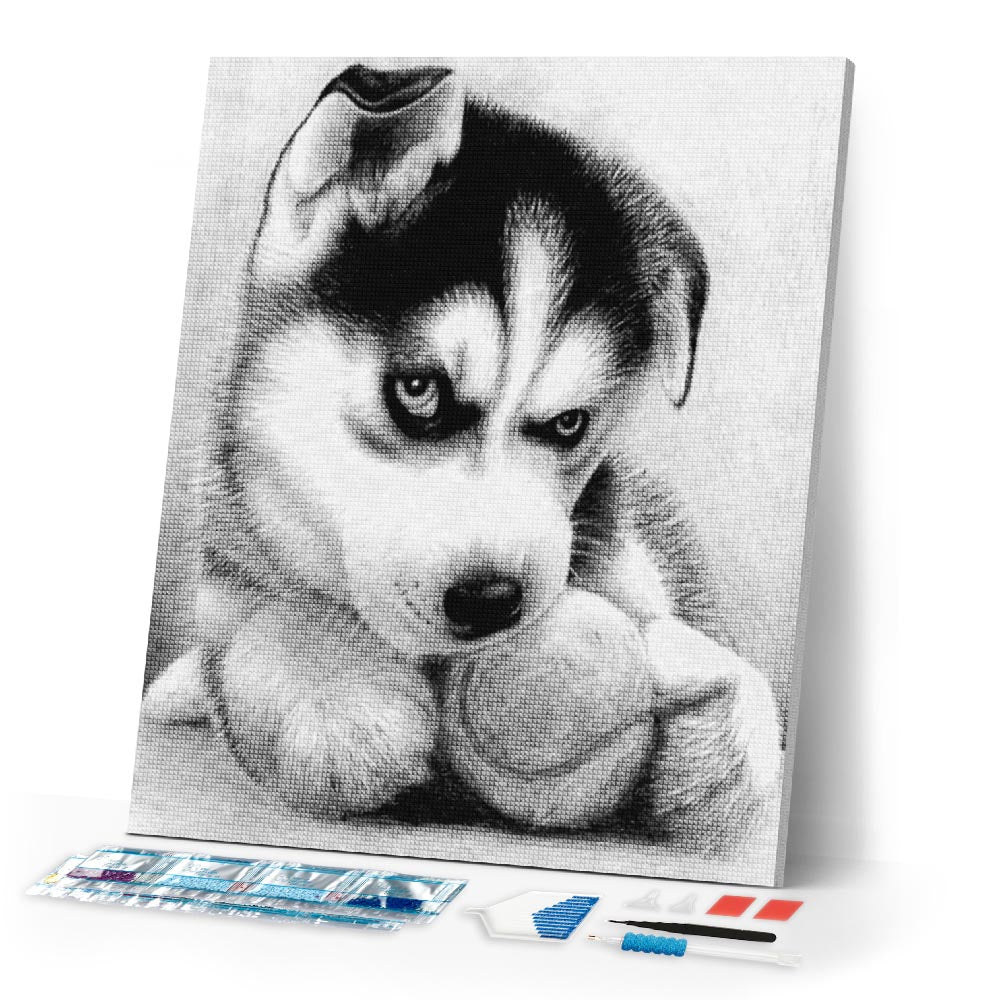 Diamond Painting | Diamond Painting - Small Husky Player | animals Diamond Painting Animals | FiguredArt