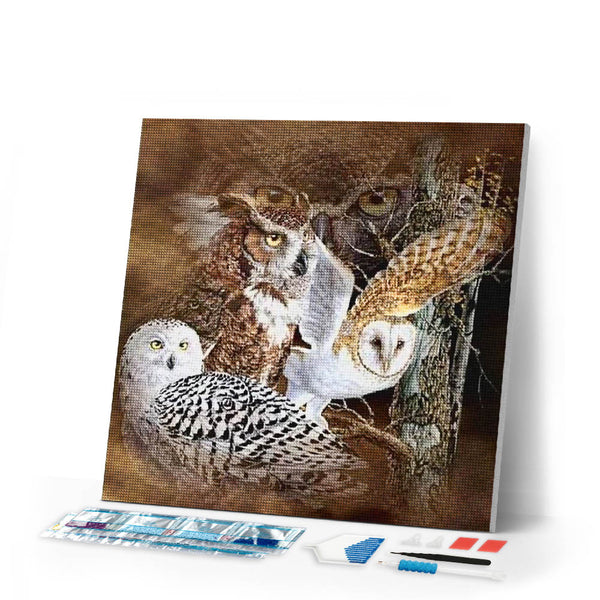 Diamond Painting | Diamond Painting - Owls | animals Diamond Painting Animals owls | FiguredArt