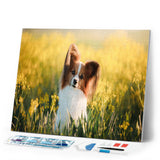 Diamond Painting - Small dog in a field