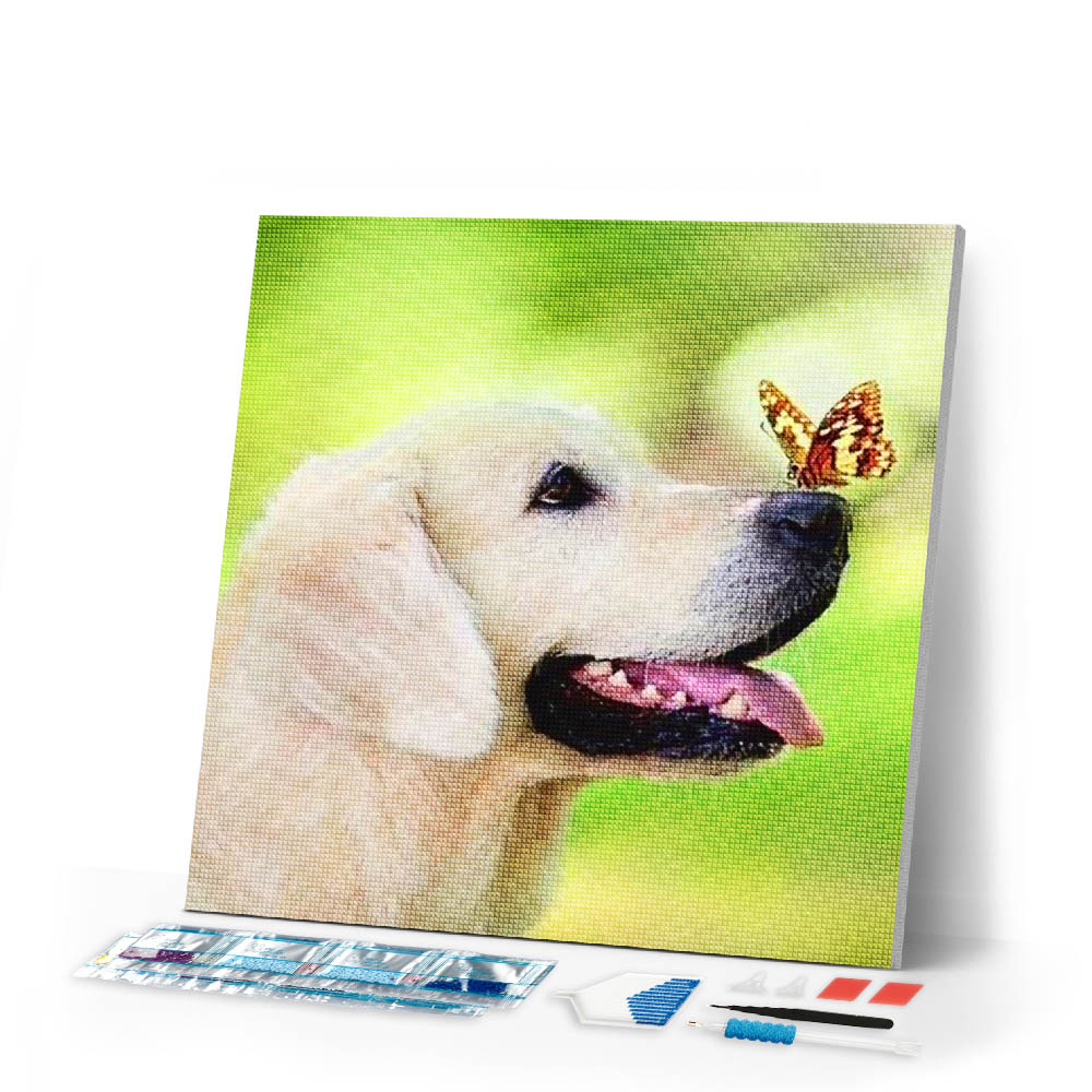 Diamond Painting | Diamond Painting - Butterfly and Labrador | animals butterflies Diamond Painting Animals | FiguredArt