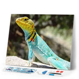 Diamond Painting | Diamond Painting - Lizard | animals Diamond Painting Animals | FiguredArt