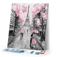 Load image into Gallery viewer, Diamond Painting - Eiffel Tower and Pink Life