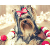 Diamond Painting - Super Cute dog