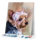 Diamond Painting - Portrait of a small dog
