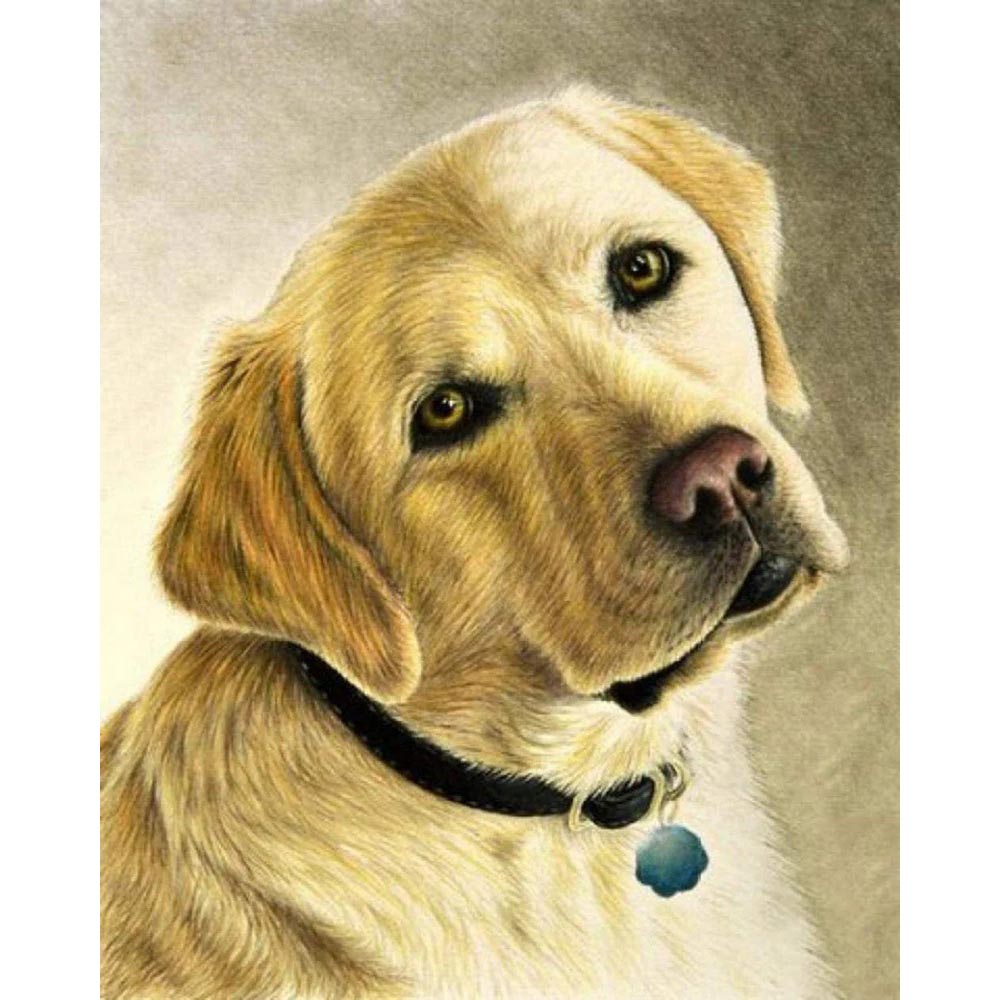 Diamond Painting - Portrait of a labrador