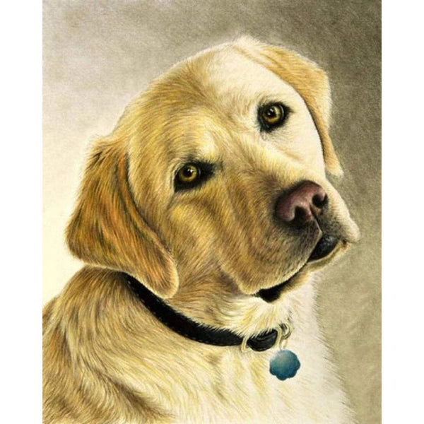 Diamond Painting - Portrait of a labrador