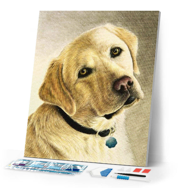 Diamond Painting - Portrait of a labrador