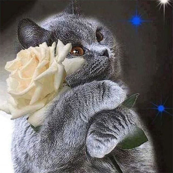 Diamond Painting - Cat and White Rose