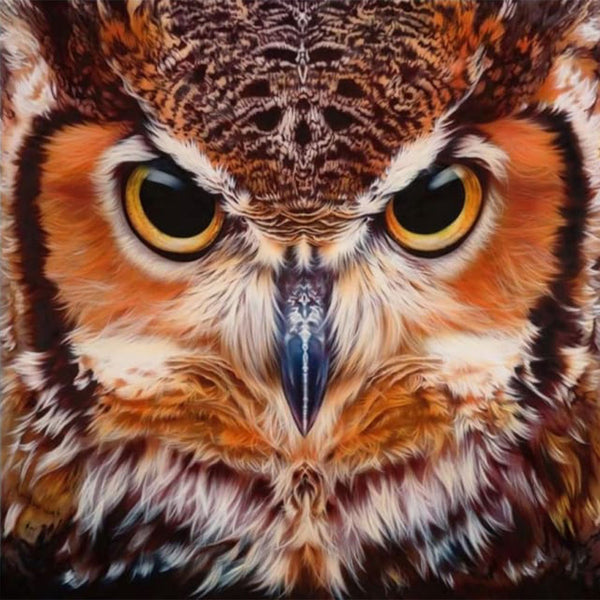 Diamond Painting - Portrait of Owls
