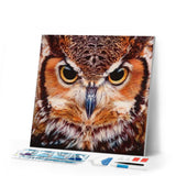 Diamond Painting | Diamond Painting - Portrait of Owls | animals Diamond Painting Animals owls | FiguredArt