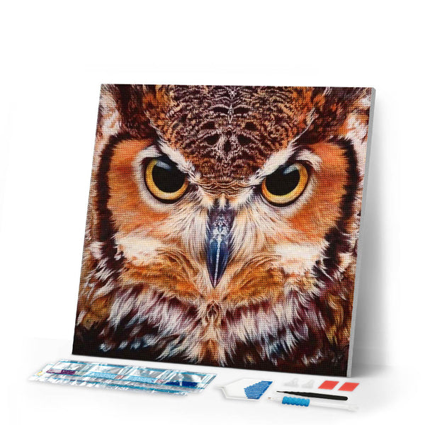 Diamond Painting | Diamond Painting - Portrait of Owls | animals Diamond Painting Animals owls | FiguredArt