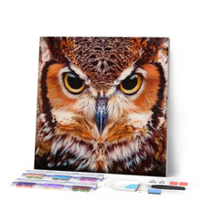 Load image into Gallery viewer, Diamond Painting - Portrait of Owls