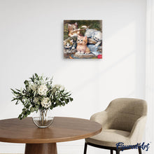 Load image into Gallery viewer, Diamond Painting - Kitten Players