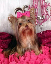 Load image into Gallery viewer, Diamond Painting - Dog and pink background
