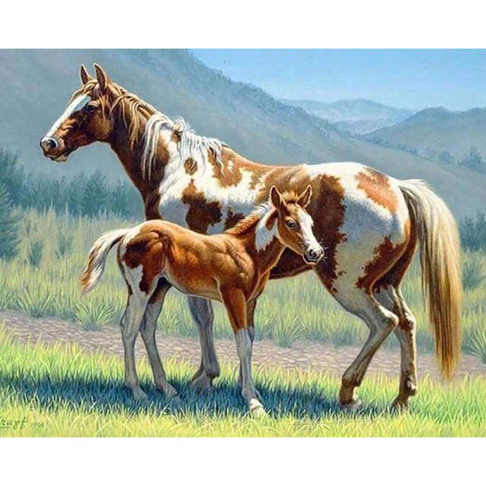 Diamond Painting - Horse and Foal