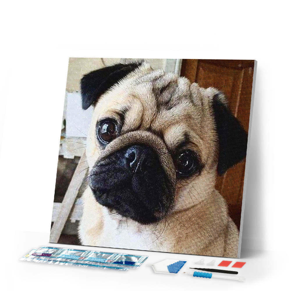 Diamond Painting | Diamond Painting - Cute Pug | animals Diamond Painting Animals | FiguredArt
