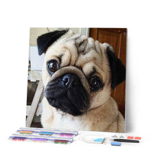 Load image into Gallery viewer, Diamond Painting - Cute Pug