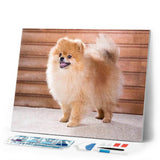 Diamond Painting | Diamond Painting - Small Dog | animals Diamond Painting Animals dogs | FiguredArt