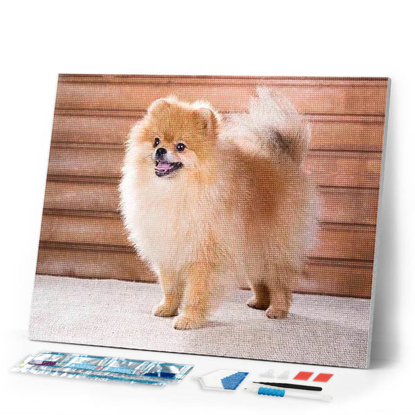 Diamond Painting | Diamond Painting - Small Dog | animals Diamond Painting Animals dogs | FiguredArt