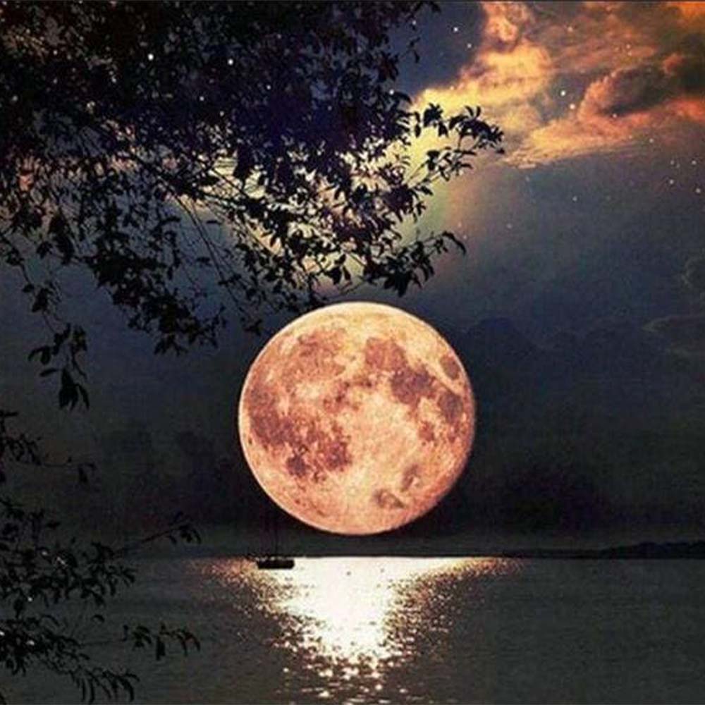 Diamond Painting - Water's edge and Full Moon