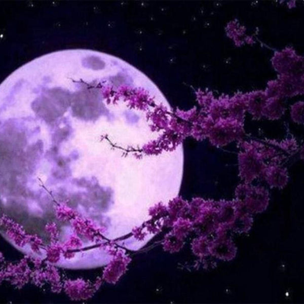 Diamond Painting - Full Moon and Flowers