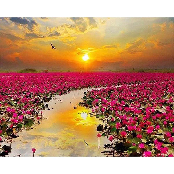 Diamond Painting - Water Lilies