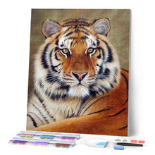 Load image into Gallery viewer, Diamond Painting Framed Packaging - Tiger Eye