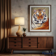 Load image into Gallery viewer, Diamond Painting Kit with Frame Back View - Tiger Eye