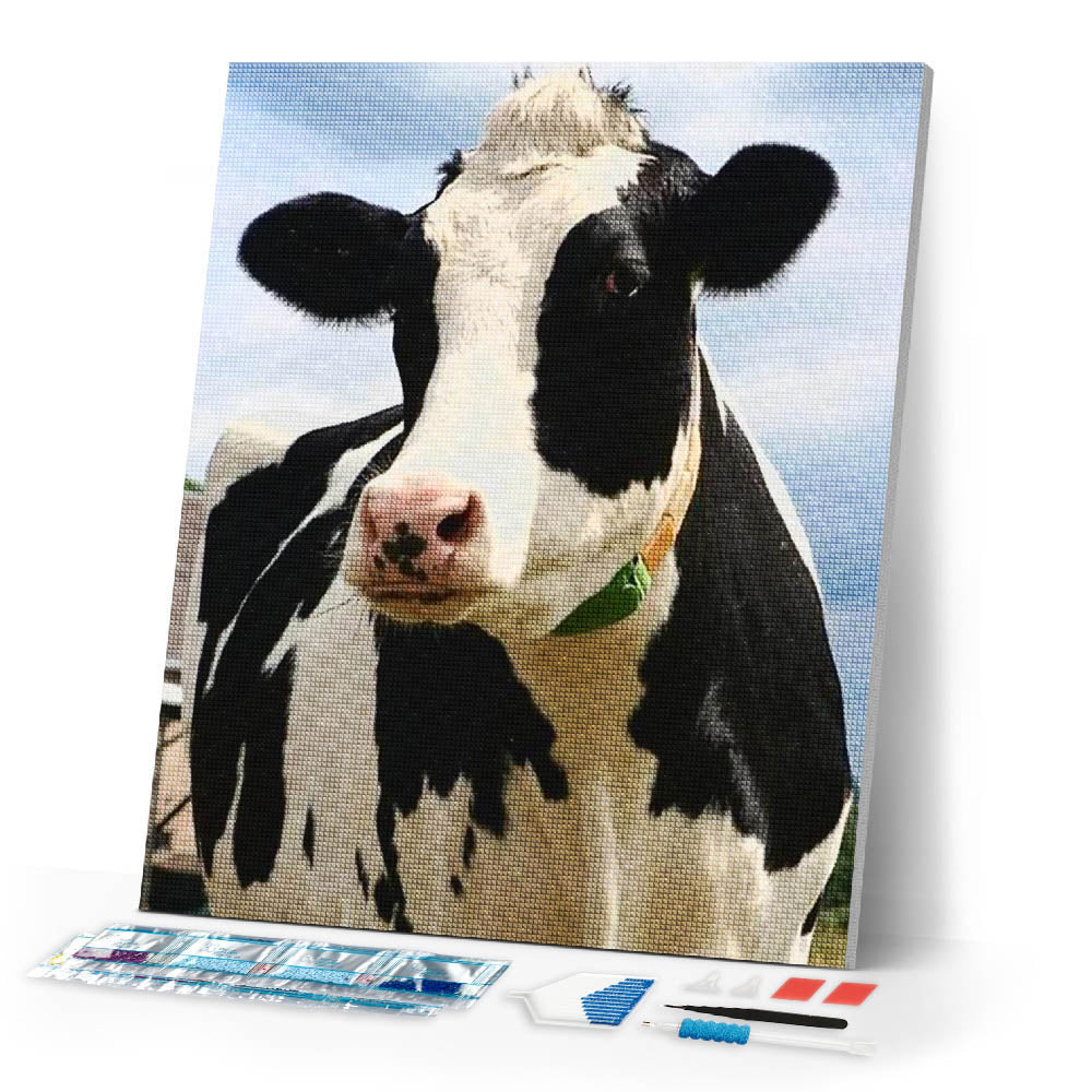 Diamond Painting | Diamond Painting - Beautiful Cow | animals cows Diamond Painting Animals | FiguredArt