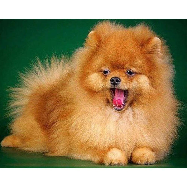 Diamond Painting - Cute Dog