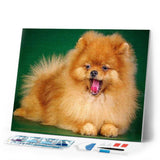 Diamond Painting | Diamond Painting - Cute Dog | animals Diamond Painting Animals dogs | FiguredArt