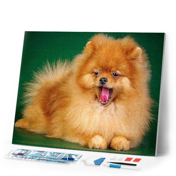 Diamond Painting | Diamond Painting - Cute Dog | animals Diamond Painting Animals dogs | FiguredArt