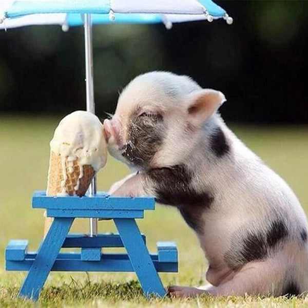 Diamond Painting - Pig and Ice