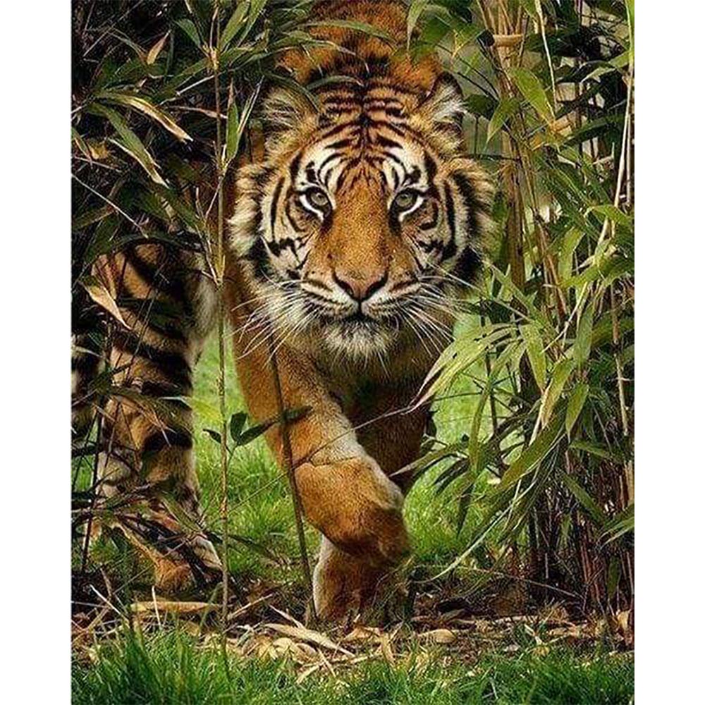 Diamond Painting - Lion Hunt