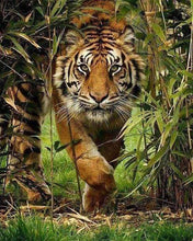 Load image into Gallery viewer, Diamond Painting | Diamond Painting - Lion Hunt | animals Diamond Painting Animals lions | FiguredArt