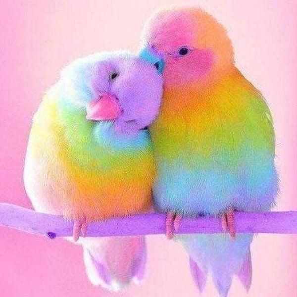 Diamond Painting - Parrots Couple