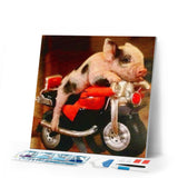 Diamond Painting | Diamond Painting - Pig and Motorbike | animals cars and motorcycles Diamond Painting Animals | FiguredArt