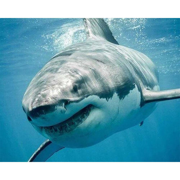 Diamond Painting - Shark