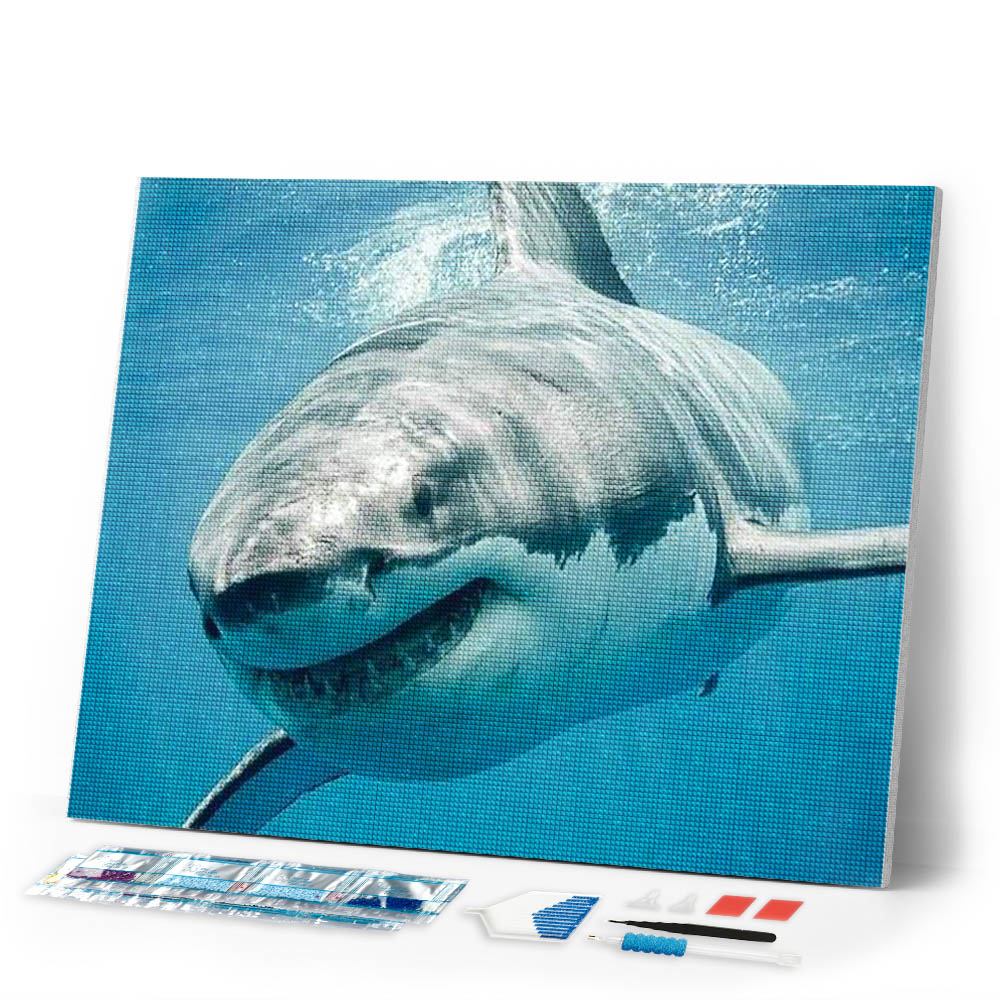 Diamond Painting | Diamond Painting - Shark | animals Diamond Painting Animals | FiguredArt