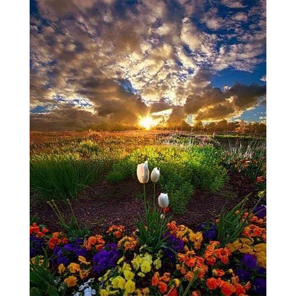 Diamond Painting - Field of Flowers