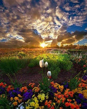 Load image into Gallery viewer, Diamond Painting | Diamond Painting - Field of Flowers | Diamond Painting Flowers flowers | FiguredArt
