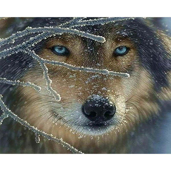 Diamond Painting - Face of Wolf