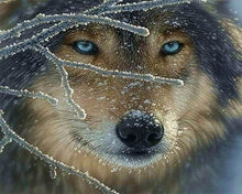 Load image into Gallery viewer, Diamond Painting | Diamond Painting - Face of Wolf | animals Diamond Painting Animals rabbits wolves | FiguredArt