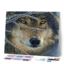 Load image into Gallery viewer, Diamond Painting - Face of Wolf