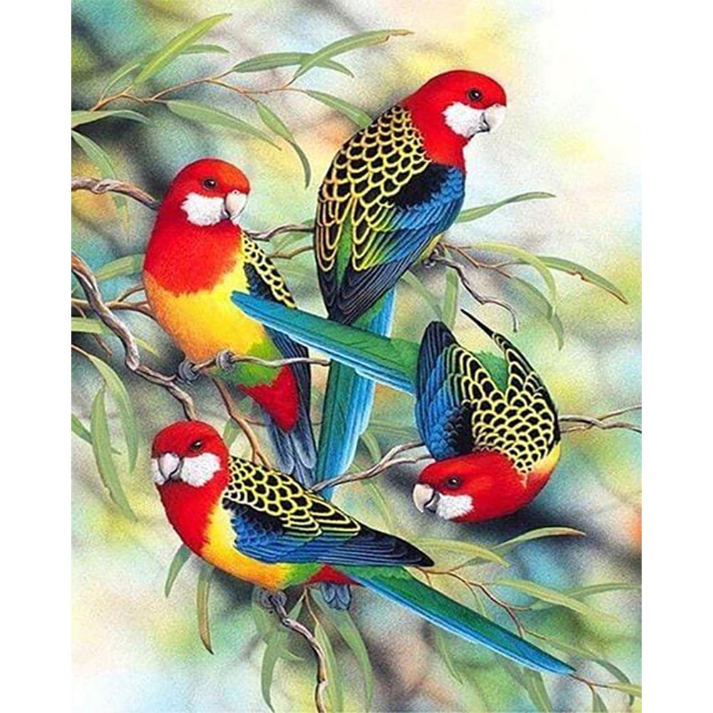 Diamond Painting - Parrots on Branch